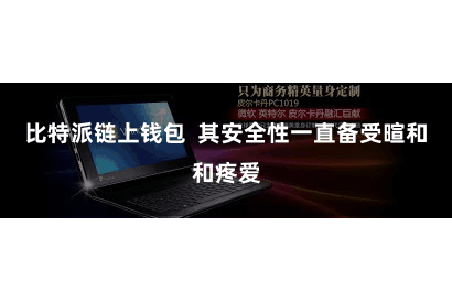比特派链上钱包  其安全性一直备受暄和和疼爱