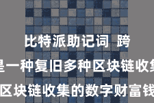 比特派助记词  跨链钱包是一种复旧多种区块链收集的数字财富钱包